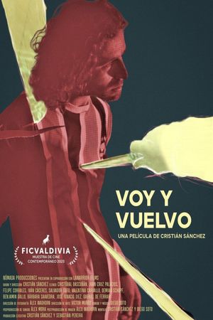 Voy y vuelvo's poster image