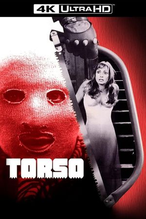 Torso's poster
