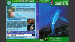 The Cousteau Collection N°7-1 | Octopus, Little Octopus's poster