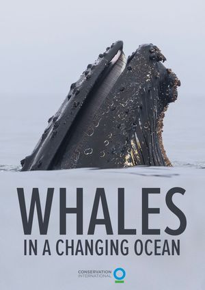 Whales in a Changing Ocean's poster