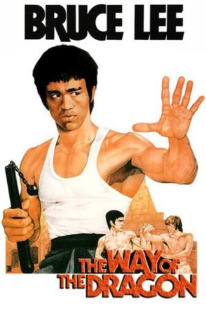 The Way of the Dragon's poster