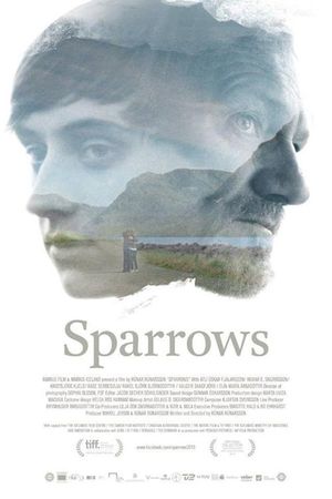 Sparrows's poster