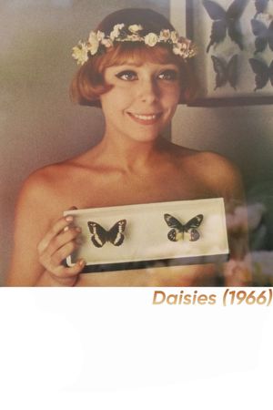 Daisies's poster