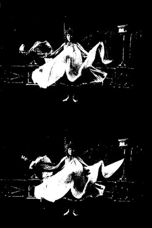 Loie Fuller's poster image