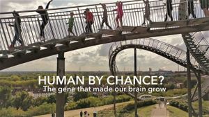 Human By Chance?'s poster