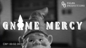 Gnome Mercy's poster
