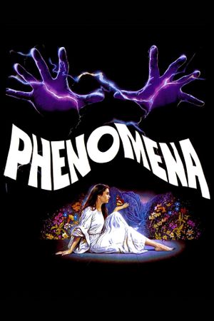 Phenomena's poster