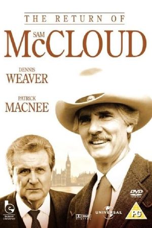 The Return of Sam McCloud's poster