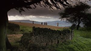 Barry Lyndon's poster