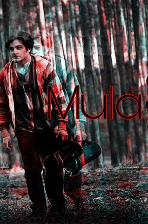 Mula's poster