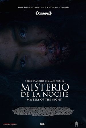 Mystery of the Night's poster