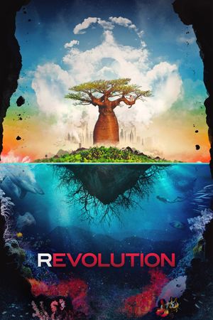 Revolution's poster