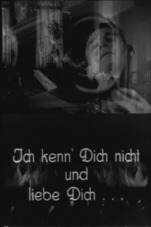 Ich kenn' dich nicht und liebe dich's poster
