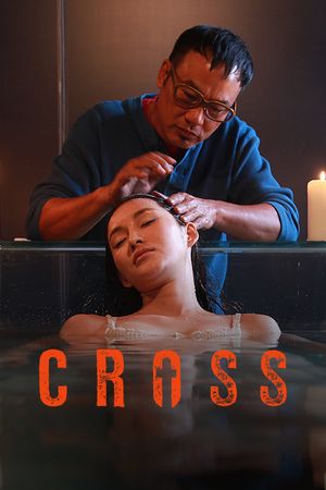 The Cross's poster