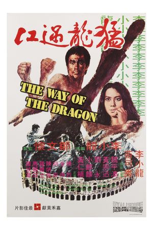 The Way of the Dragon's poster