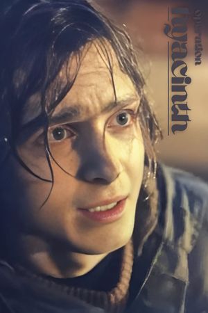 Operation Hyacinth's poster