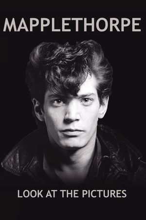 Mapplethorpe: Look at the Pictures's poster