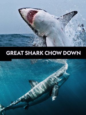 Great Shark Chow Down's poster