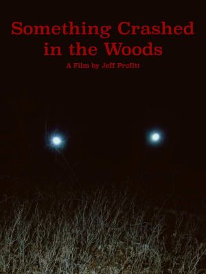 Something Crashed in the Woods's poster