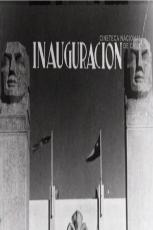 The National Stadium's poster
