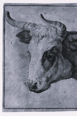 Bullhead's poster