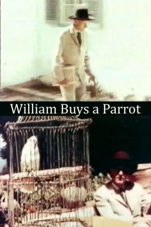 William Buys a Parrot's poster image