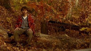 Indian Summer's poster