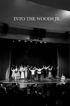 Into The Woods (AUS Productions)'s poster