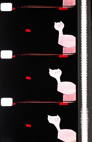 Cats's poster