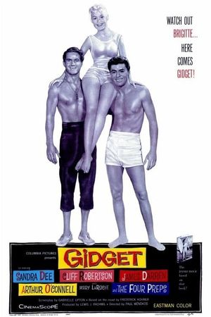 Gidget's poster