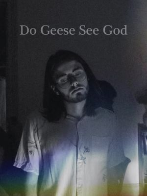 Do Geese See God's poster