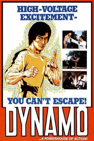 Dynamo's poster