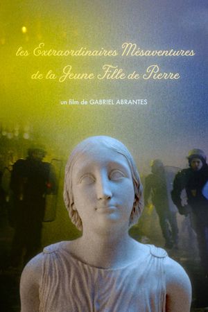 The Marvelous Misadventures of the Stone Lady's poster