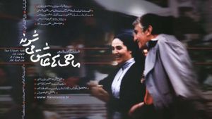 The Fish Fall in Love's poster