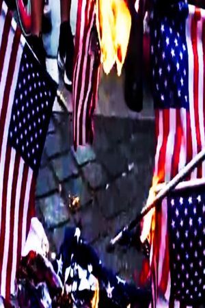 Naughty America: Guns & Stripes's poster