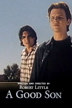 A Good Son's poster