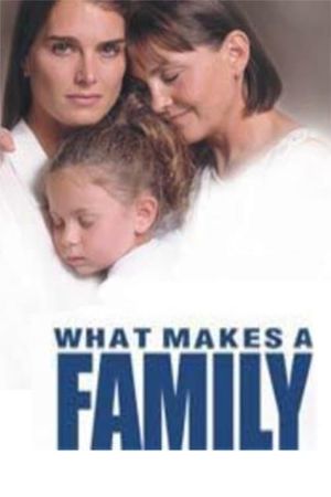 What Makes a Family's poster