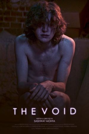 The Void's poster