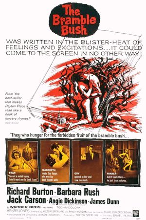 The Bramble Bush's poster