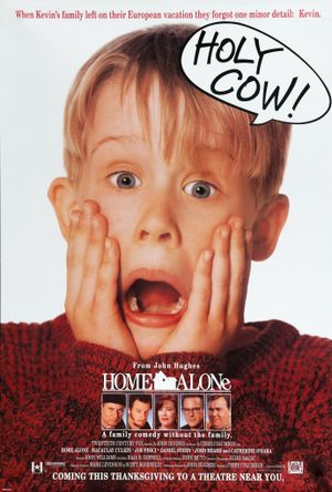 Home Alone's poster