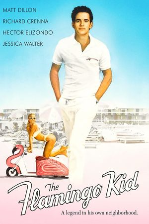 The Flamingo Kid's poster