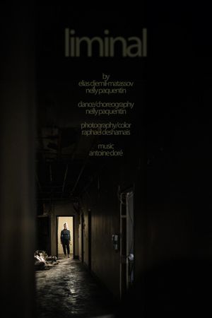 liminal's poster