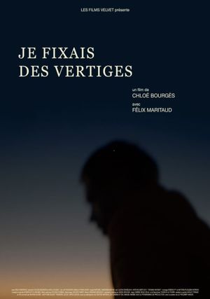 Je fixais des vertiges's poster