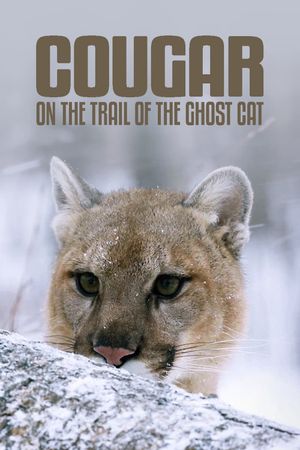 Cougar: On the Trail of the Ghost Cat's poster