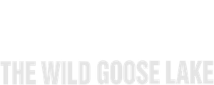The Wild Goose Lake's poster