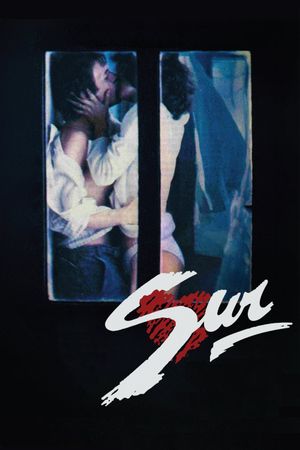 The South's poster