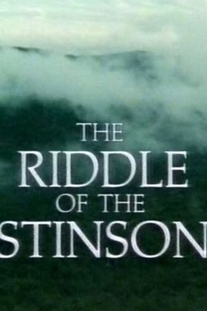 The Riddle of the Stinson's poster image