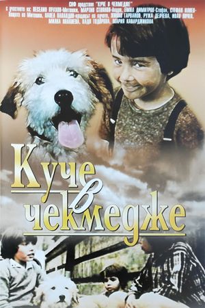 Kuche v chekmedzhe's poster