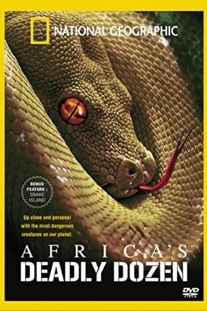 Africa's Deadly Dozen's poster