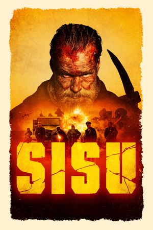 Sisu's poster